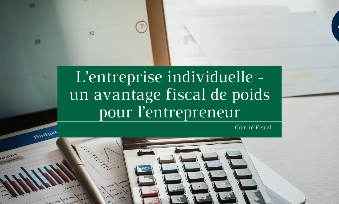 L’entreprise individuelle : un avantage fiscal de poids pour l’entrepreneur