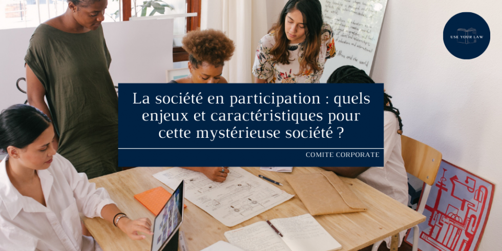 La société en participation : quels enjeux et caractéristiques pour